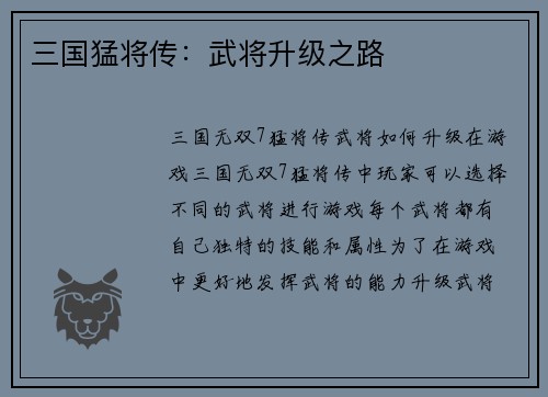 三国猛将传：武将升级之路
